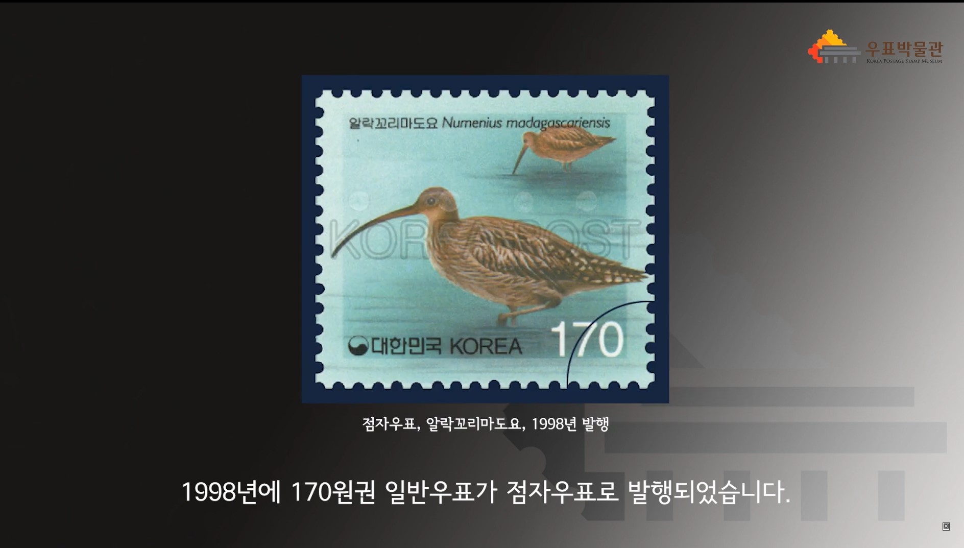 알락꼬리마도요 Numenius modagascariensis / 대한민국 KOREA 170 / 점자우표 / 알락꼬리마도요, 1998년 발행 / 1998년에 170원권 일반우표가 점자우표로 발행되었습니다.